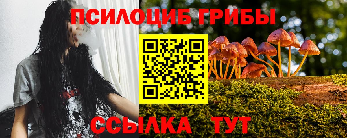 Приморско-Ахтарск  Псилоцибиновые грибы Magic Shrooms  Вход с VPN 